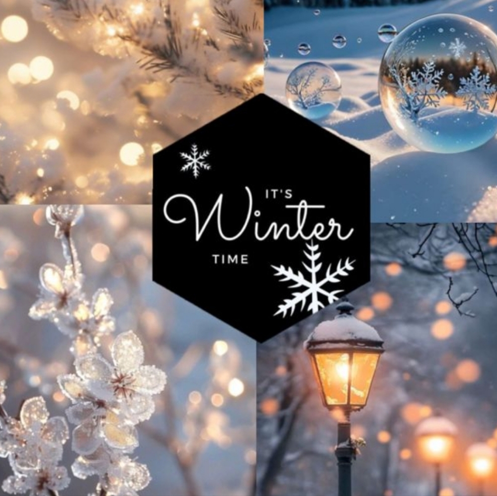 ❄️Winter Wonderland❄️ Decor Surprise MYSTERY BUNDLE!